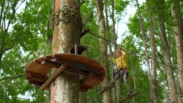 Menino em um arnês de segurança sobe em uma rota em copas de árvores em um parque de aventura florestal. Ele sobe em alta corda trilha. Centro de diversões ao ar livre com atividades de escalada consistindo de tirolesa e todos — Vídeo de Stock