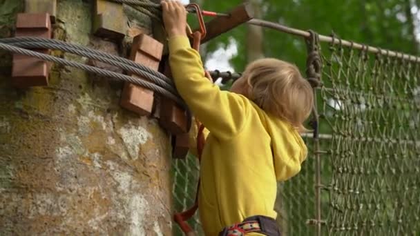 Little boy in a safety harness climbs on a route in treetops in a forest adventure park. He climbs on high rope trail. Outdoor amusement center with climbing activities consisting of zip lines and all — Stock Video