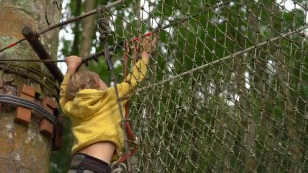 Bir güvenlik koşum küçük çocuk bir orman macera parkı ağaç tepelerinde bir rota üzerinde tırmanıyor. Yüksek halat patikalarına tırmanıyor. Zip hatları ve tüm oluşan tırmanma faaliyetleri ile açık eğlence merkezi — Stok video