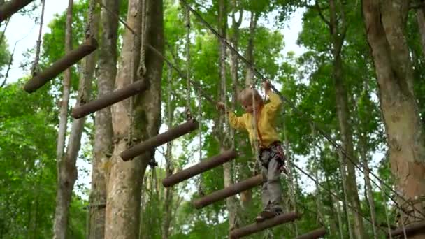 Kleine jongen in een veiligheidsharnas klimt op een route in boomtoppen in een forest Adventure Park. Hij klimt op een hoog touwparcours. Openlucht amusementscentrum met klimactiviteiten bestaande uit zip-lijnen en alle — Stockvideo