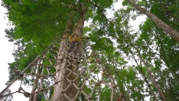 Slowmotion skott av en liten pojke i en säkerhetssele klättrar på en rutt i trädtopparna i en skog äventyrspark. Han klättrar på hög repspår. Nöjescentrum utomhus med klättrings aktiviteter bestående — Stockvideo