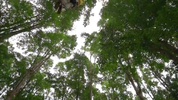 Im Zeitlupentempo klettert ein kleiner Junge im Sicherheitsgurt auf eine Route in Baumkronen eines Wald-Erlebnisparks. Er klettert auf einem Hochseilgarten. Outdoor-Vergnügungszentrum mit Kletteraktivitäten — Stockvideo