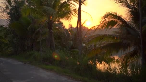 Slowmotion punkt widzenia strzał pięknej tropikalnej drodze z palmami i jeziorem za drzewami podczas zachodu słońca. Podróżuj w koncepcji tropików. Koncepcja święta — Wideo stockowe