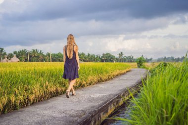 Kadın turistler pirinç tarlalarının güzel Asya manzarasının panoramik manzarasının keyfini çıkarın