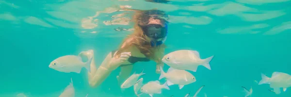 Banner, μακρά μορφή Happy γυναίκα σε μάσκα κατάδυσης κατάδυση υποβρύχια με τροπικά ψάρια στην πισίνα κοραλλιογενή ύφαλο. Ταξίδια lifestyle, θαλάσσια σπορ υπαίθρια περιπέτεια, μαθήματα κολύμβησης στην παραλία του καλοκαιριού — Φωτογραφία Αρχείου