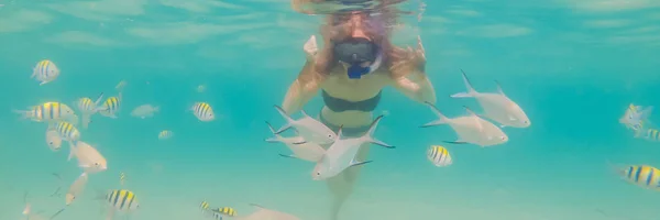 BANNER, LONG FORMAT Happy woman in snorkeling mask dive underwater with tropical fishes in coral reef sea pool. Style de vie de voyage, sports nautiques aventure en plein air, cours de natation sur la plage d'été — Photo