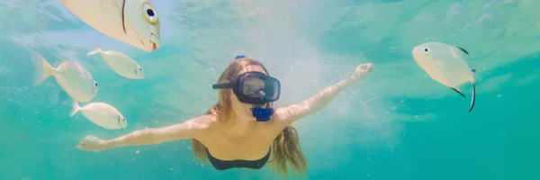 BANNER, LONG FORMAT Happy woman in snorkeling mask dive underwater with tropical fishes in coral reef sea pool. Style de vie de voyage, sports nautiques aventure en plein air, cours de natation sur la plage d'été — Photo