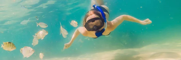 Banner, hosszú formátum boldog nő snorkeling maszk merülés a víz alatti trópusi halak korallzátony tengeri medencében. Utazás életmód, vízisport szabadtéri élményfürdő, úszás leckék a nyári strandon — Stock Fotó