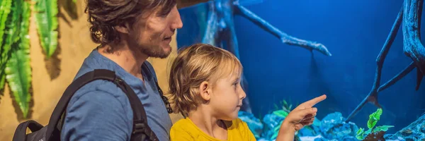 Vader en zoon kijken naar vis in een tunnel aquarium banner, lang formaat — Stockfoto