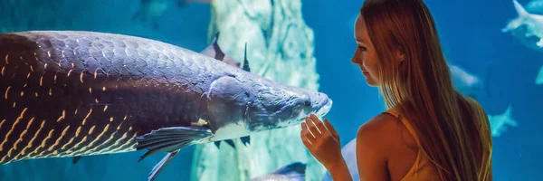 Genç kadın bir oceanarium tünel Banner, Uzun Format bir vatoz balık dokunur — Stok fotoğraf