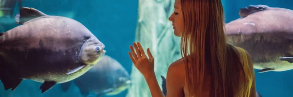 Jonge vrouw raakt een Stingray vissen in een Oceanarium tunnel banner, lang formaat — Stockfoto