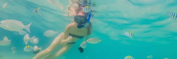 BANNER, LONG FORMAT Happy woman in snorkeling mask dive underwater with tropical fishes in coral reef sea pool. Style de vie de voyage, sports nautiques aventure en plein air, cours de natation sur la plage d'été — Photo