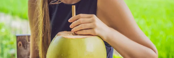 Young woman with fresh coconut cocktail in the background of a rice field BANNER, LONG FORMAT — Stock Photo, Image