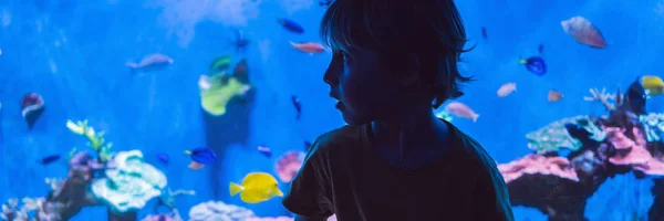 Küçük çocuk, oceanarium yüzen balık sürüsü izlerken çocuk, Akvaryum Banner sualtı yaşam zevk çocuklar, Uzun Format — Stok fotoğraf