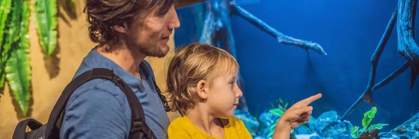 Батько і син дивляться на рибу в тунельному акваріумі BANNER, LONG FORMAT — стокове фото