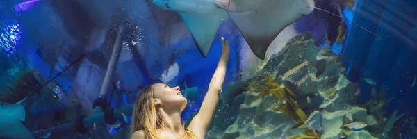 Junge Frau berührt einen Stachelrochenfisch in einem Ozeanarium Tunnelbanner, Langformat — Stockfoto