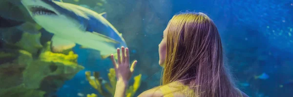 Jonge vrouw raakt een Stingray vissen in een Oceanarium tunnel banner, lang formaat — Stockfoto