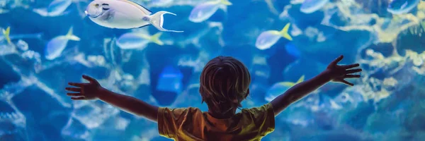 Petit garçon, enfant regardant le haut-fond de poissons nager dans l'océanarium, enfants profitant de la vie sous-marine dans l'Aquarium BANNER, FORMAT LONG — Photo