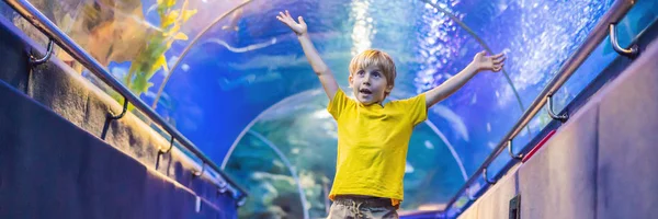 Akvarium och pojke, besök i Oceanarium, undervattenstunnel och Kid, Wildlife Underwater inomhus, natur akvatiska, fisk, sköldpadda banner, lång format — Stockfoto