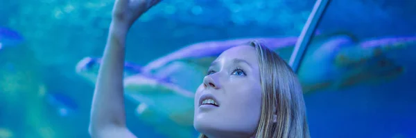 Fiatal nő megérinti a Stingray hal egy Oceanarium alagút banner, hosszú formátum — Stock Fotó