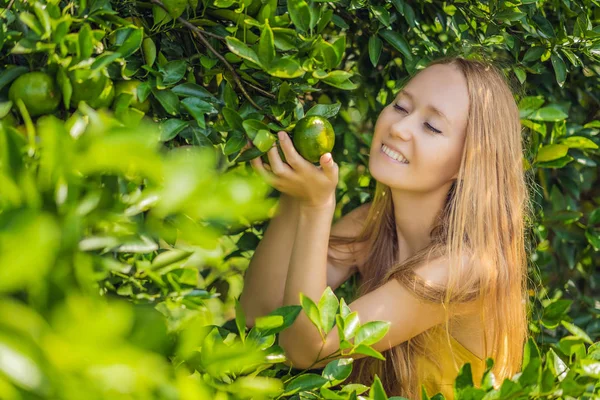 Retrato de mulher agricultor atraente está colhendo laranja na fazenda orgânica, menina alegre na emoção felicidade enquanto colhe laranjas no jardim, agricultura e conceito de plantação — Fotografia de Stock