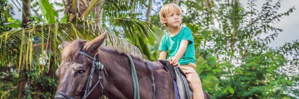 Jongen Paardrijden, uitvoeren van oefeningen op paard banner, lang formaat — Stockfoto