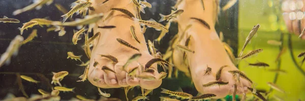 Jonge vrouw in een gele jurk in de Fish Spa banner, lang formaat — Stockfoto