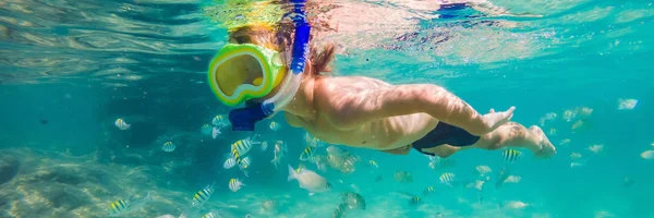 Onderwaternatuur studie, jongen snorkelen in helder blauwe zee banner, lang formaat — Stockfoto