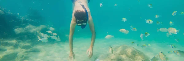 Jeunes hommes plongée en apnée explorant sous-marin récif corallien fond de paysage dans l'océan bleu profond avec des poissons colorés et la vie marine BANNER, LONG FORMAT — Photo