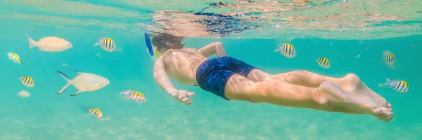 Дослідження підводної природи, снорклінг хлопчика в чистому блакитному морі BANNER, LONG FORMAT — стокове фото