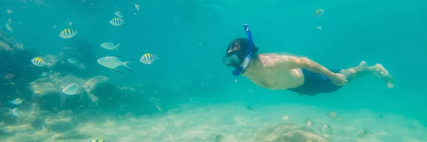 カラフルな魚や海洋生物バナー、ロングフォーマットで深い青い海の水中サンゴ礁の風景の背景を探検若い男性 — ストック写真