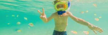 Sualtı doğa çalışması, berrak mavi deniz Banner, Uzun Format ta şnorkel çocuk