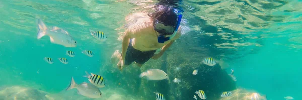 Hombres jóvenes buceando explorando el fondo del paisaje del arrecife de coral submarino en el océano azul profundo con peces coloridos y vida marina BANNER, LONG FORMAT — Foto de Stock