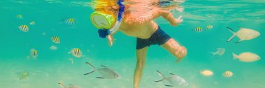 Sualtı doğa çalışması, berrak mavi deniz Banner, Uzun Format ta şnorkel çocuk
