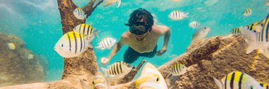 renkli balık ve deniz yaşamı Banner, Uzun Format ile derin mavi okyanusta sualtı mercan resifi manzara arka plan keşfetmek genç erkekler şnorkel