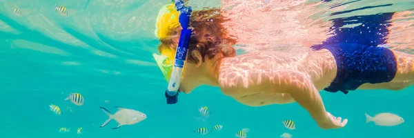 수중 자연 연구, 맑은 푸른 바다 배너에서 소년 스노클링, 긴 형식 — 스톡 사진