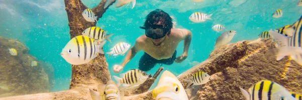 young men snorkeling exploring underwater coral reef landscape background in the deep blue ocean with colorful fish and marine life BANNER, LONG FORMAT