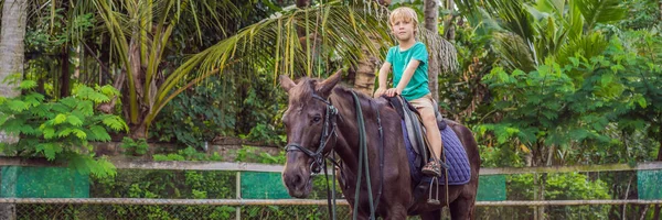 Ragazzo equitazione, esecuzione di esercizi a cavallo BANNER, FORMATO LUNGO — Foto Stock