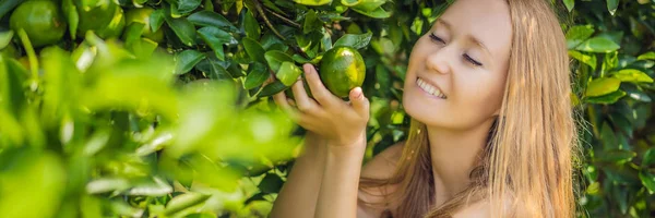 BANNER, FORMATO LARGO Retrato de la atractiva campesina está cosechando naranja en granja orgánica, Chica alegre en emoción de felicidad mientras cosecha naranjas en el jardín, concepto de agricultura y plantación — Foto de Stock