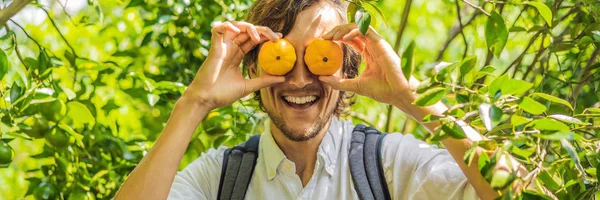 Muž s manlarinas na mandarinkové plantáži, nápis dlouhý formát — Stock fotografie
