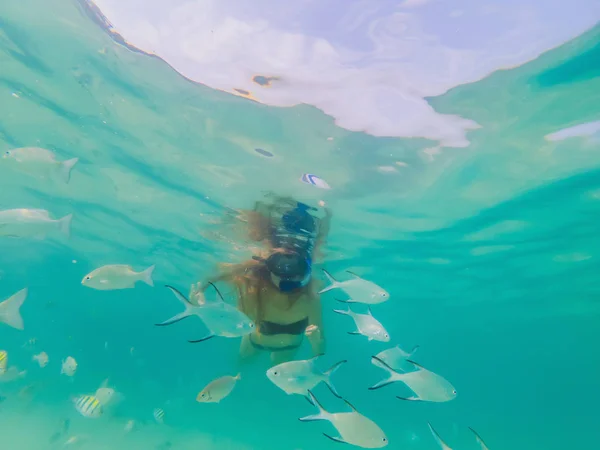 Lycklig kvinna i snorkling mask under vattnet med tropiska fiskar i Coral Reef Sea pool. Travel Lifestyle, vattensport utomhus äventyr, simlektioner på Summer Beach Holiday — Stockfoto