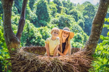 Bali trendi, her yerde saman yuvaları. Mutlu aile Bali adası, Endonezya etrafında seyahat zevk. Güzel bir tepede mola. Saman yuvasında fotoğraf, doğal bir çevre. Yaşam tarzı
