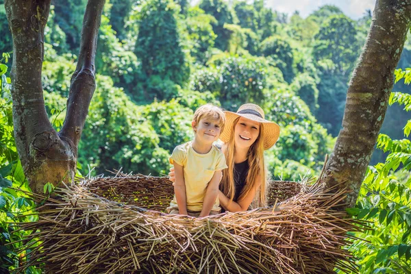 Балийская тенденция, соломенные гнезда повсюду. Счастливая семья наслаждается путешествиями по острову Бали, Индонезия. Остановка на красивом холме. Фото в соломенном гнезде, природная среда. Стиль жизни — стоковое фото