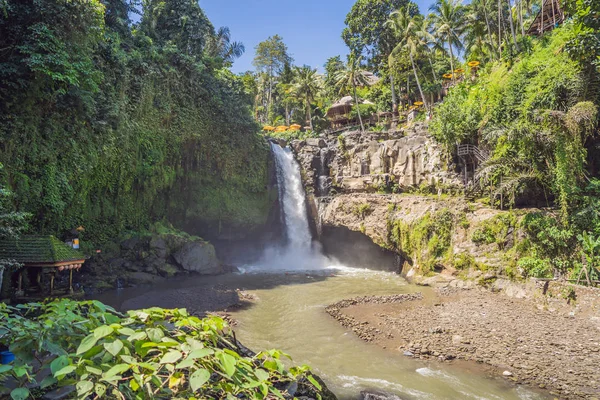 Ubud yakınlarındaki Tegenungan Şelalesi, Bali, Endonezya. Tegenungan Şelalebali, Endonezya ziyaret turistler için popüler bir yerdir
