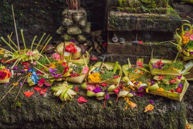 Günlük teklifleri - canang sari Bali, Endonezya'da çok önemlidir
