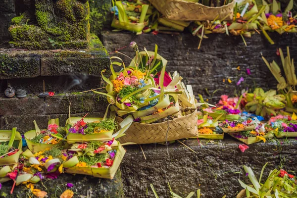 Daily offerings - canang sari is very important in Bali, Indonesia Stock Image