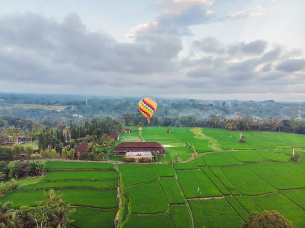 Hot air balloon over the green paddy field. Composition of nature and blue sky background. Travel concept — Stock Photo, Image