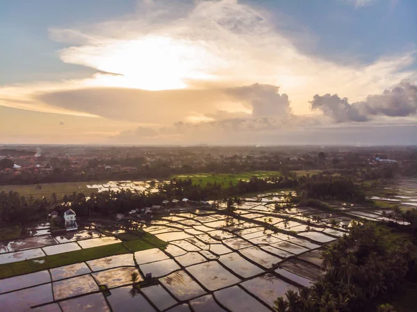 Αεροπλάνο Rice Terrace. Εικόνα από την όμορφη βεράντα ορυζώνες — Φωτογραφία Αρχείου