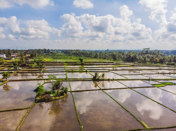 Αεροπλάνο Rice Terrace. Εικόνα από την όμορφη βεράντα ορυζώνες — Φωτογραφία Αρχείου