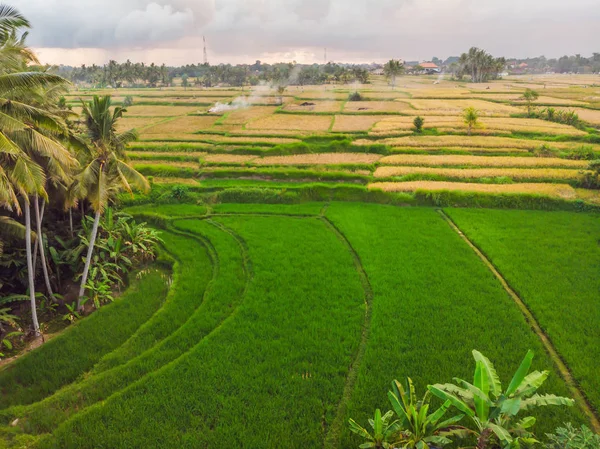 Αεροπλάνο Rice Terrace. Εικόνα από την όμορφη βεράντα ορυζώνες — Φωτογραφία Αρχείου